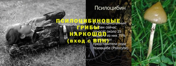 трава Пересвет